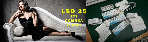 тгк Магас