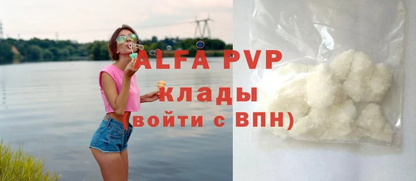 ECSTASY Майский