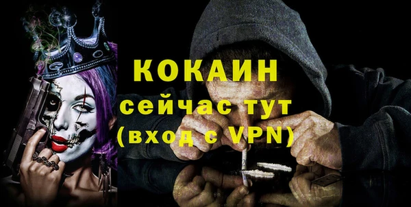 тгк Магас