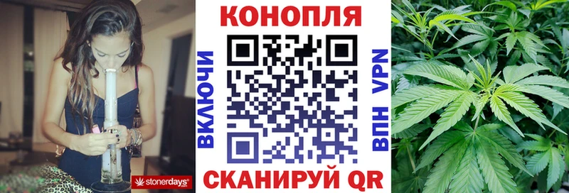 Купить закладки  Михайловск  Бошки Шишки VHQ 
